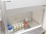 細菌検査